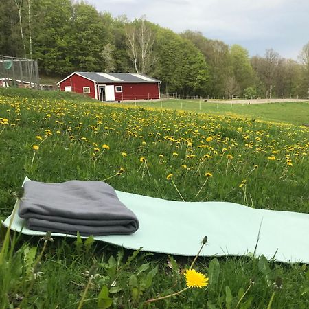 Stenlid - Med Naturen Och Lugnet I Fokus Veddige Ngoại thất bức ảnh