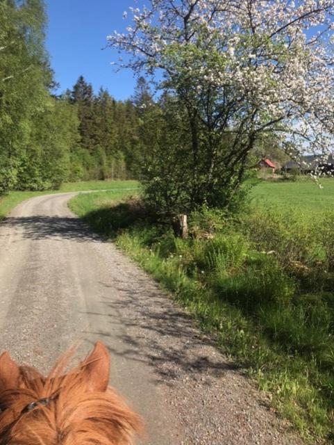 Stenlid - Med Naturen Och Lugnet I Fokus Veddige Ngoại thất bức ảnh